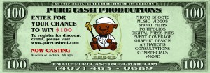 money flyer copy