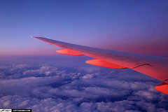 Lastest Photography News