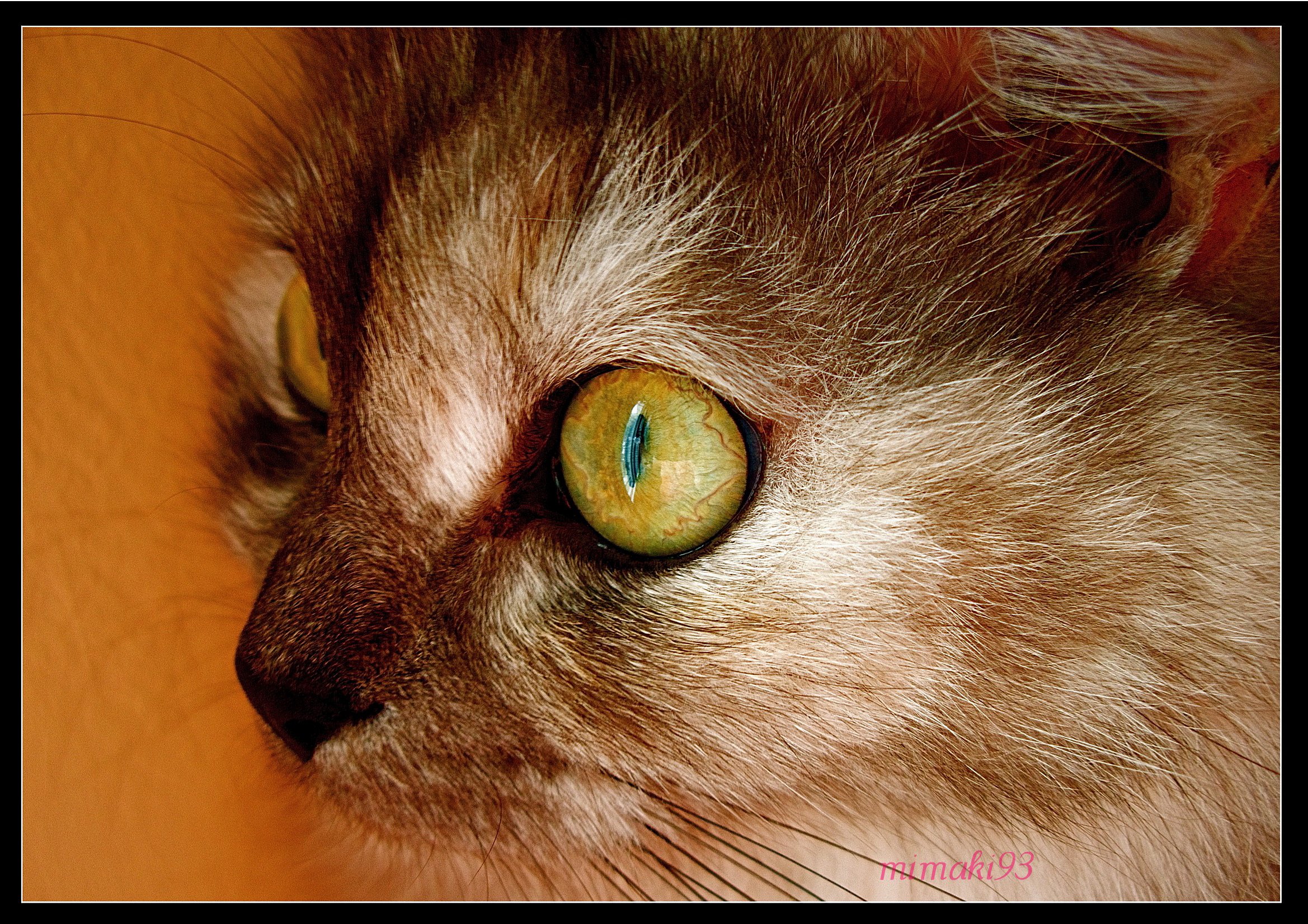 eye candy
