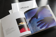 Alaska Permanent advertising for real estate portfolio manager
